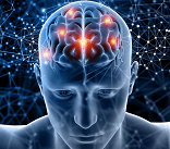 Neuropsicologia